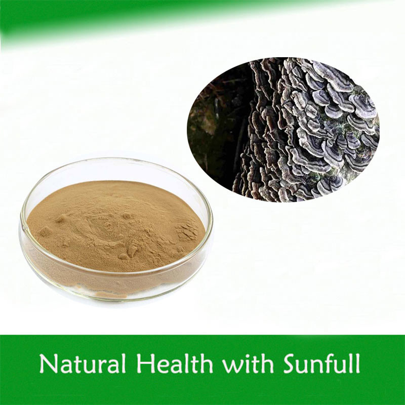 Coriolus Versicolor এক্সট্র্যাক্ট 10%~50% পলিসাক্রিডস পিএসকে পিএসপি টার্কির লেজ মাশরুম এক্সট্র্যাক্ট