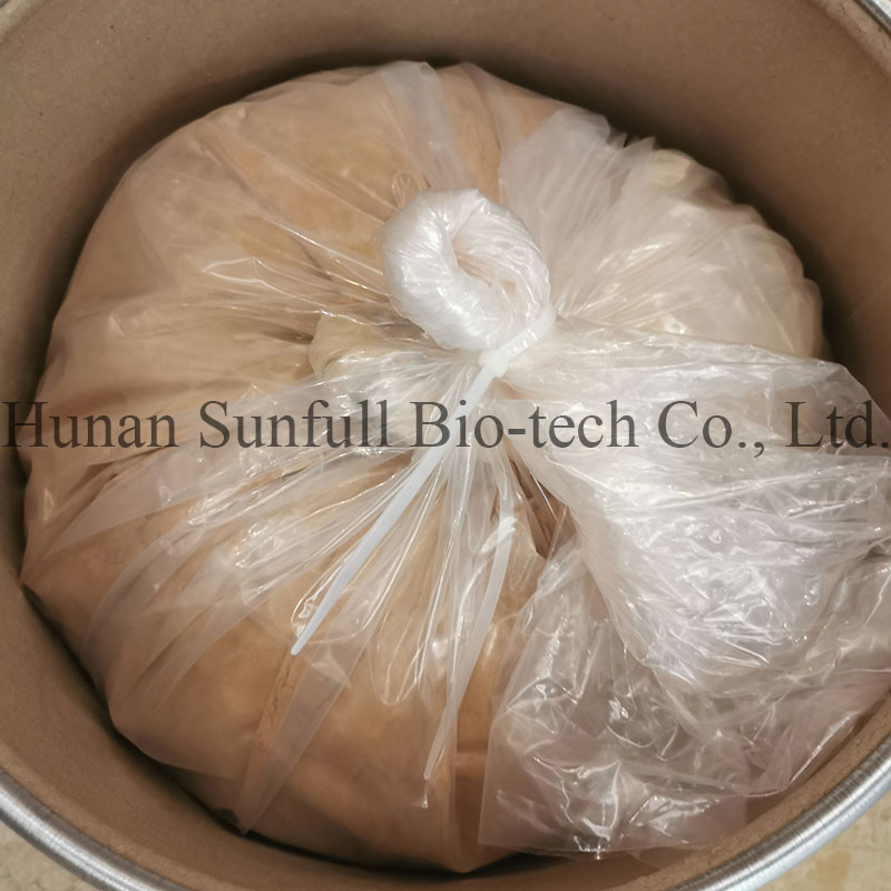 জিংকো বিলোবা পাতা এক্সট্র্যাক্ট 24/6 CAS 90045-36-6 Cp USP561 Ep EC396