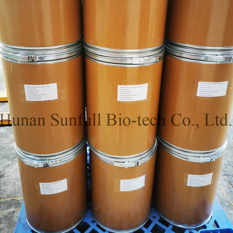 জিংকো বিলোবা পাতা এক্সট্র্যাক্ট 24/6 CAS 90045-36-6 Cp USP561 Ep EC396