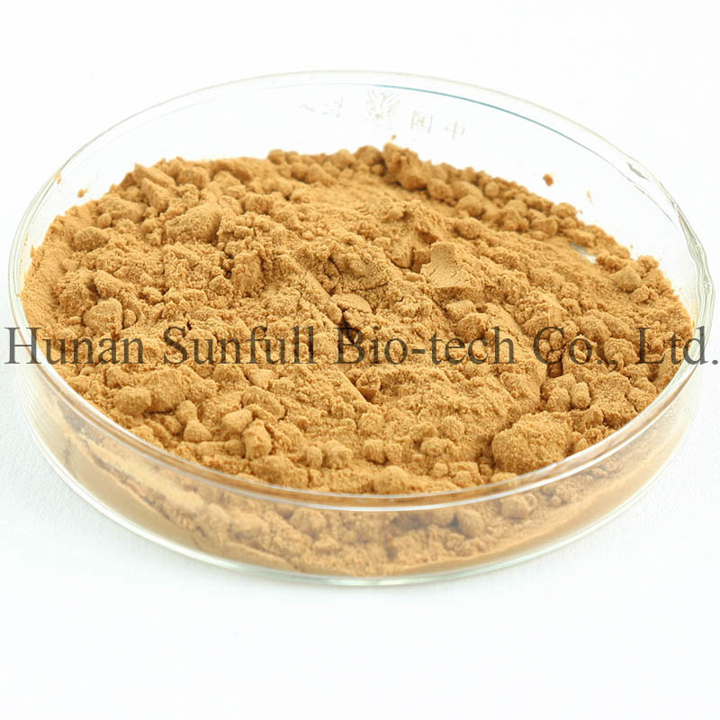 জিংকো বিলোবা পাতা এক্সট্র্যাক্ট 24/6 CAS 90045-36-6 Cp USP561 Ep EC396
