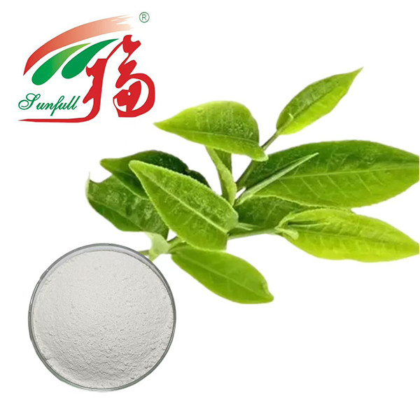 চূড়ান্ত অ্যান্টিঅক্সিডেন্ট শক্তি! ৯৮% ইজিসিজি গ্রিন টি নির্যাস - প্রাণশক্তির জন্য প্রকৃতির রক্ষাকবচ