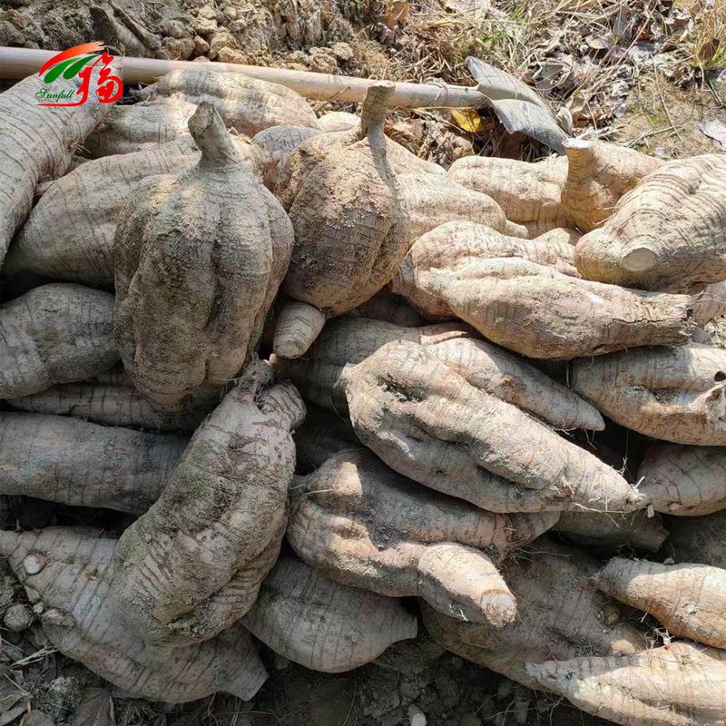 চীন কারখানা প্রাকৃতিক কুডজু রুট এক্সট্র্যাক্ট Puerarin সঙ্গে 25% 60% 98% জন্য বিকল্প