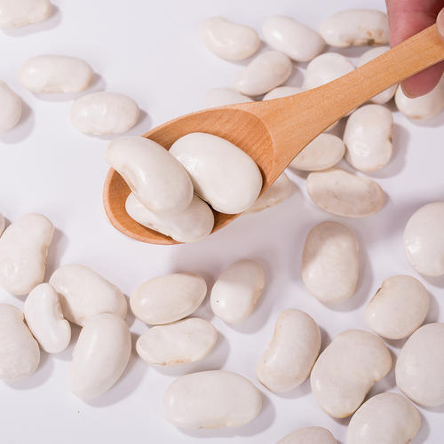 প্রিমিয়াম সাদা কিডনি বিন নির্যাস (ফেসিওলাস ভালগারিস) - উচ্চ বিশুদ্ধতা α-অ্যামাইলেজ ইনহিবিটর ওজন ও রক্তের শর্করার ব্যবস্থাপনার জন্য