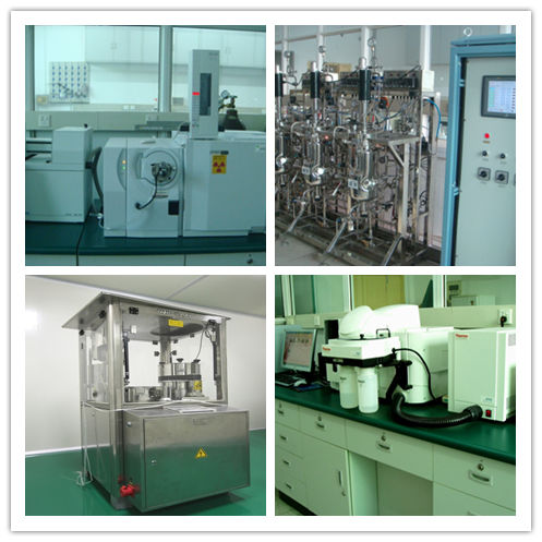 কর্ডিসেপস মাশরুম পাউডার ৮০ ইমিউন সাপোর্ট জন্য জাল ২৫ কেজি ড্রাম