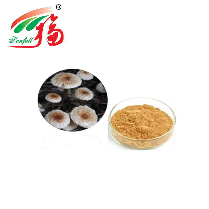 উচ্চমানের মার্সমিউস অ্যান্ড্রোসেসিউস এক্সট্রাক্ট পাউডার 80 মেশ আকারের 2 বছরের জীবনকাল এবং 20 টন / বছরের উত্পাদন ক্ষমতা সহ