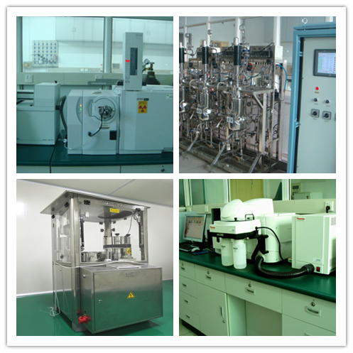 পাইকারি Armillaria Mellea এক্সট্র্যাক্ট পাউডার 20t / বছর উত্পাদন ক্ষমতা সঙ্গে সূক্ষ্ম বাদামী হলুদ পাউডার এবং পানিতে ভাল দ্রবণীয়তা