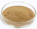 Maitake Mushroom Extract Powder 10% Polysaccharides for Health Care Products in Fine Brown Yellow Powder for Tablet and Capsule Application
