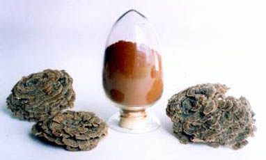 কার্যকরী খাদ্য হিসেবে ব্যবহারের জন্য কোরিওলাস ভার্সিকলার নির্যাস (৫০% পলিস্যাকারাইড), যা রক্তের শর্করার মাত্রা নিয়ন্ত্রণ করে এবং কফ কমায়