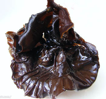 ব্ল্যাক ফাঙ্গাস এক্সট্র্যাক্ট পাউডার ২০% পলিসাকারাইডস রক্তে দ্রবণীয় রক্তে শর্করা নিয়ন্ত্রণ এবং হাইপোলিপিডেমিক ফাংশনাল ফুড