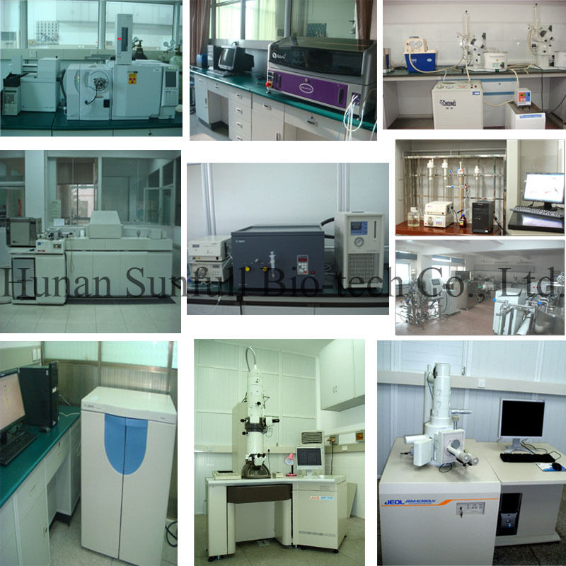 অ্যান্টিব্যাকটেরিয়াল এক্সট্র্যাক্ট বারবেরিন হাইড্রোক্লোরাইড বারবেরিস প্রজাতির (বারবেরি) হলুদ স্ফটিক পাউডার CAS নং 633-65-8 সহ