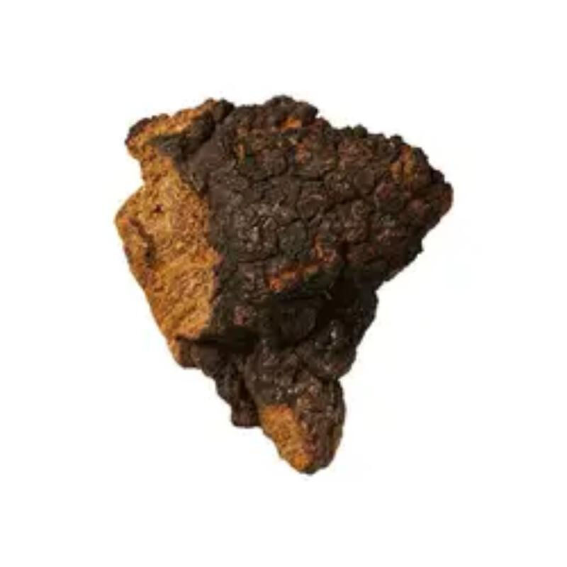 চাগা এক্সট্র্যাক্ট 10% পলিসাকারাইড ফাইন ব্রাউন হলুদ পাউডার ফাংশনাল ফুড এবং স্বাস্থ্যসেবা পণ্যগুলির জন্য