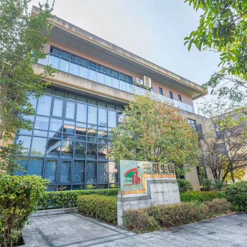 চাগা নির্যাস পাউডার ৪০% পলিস্যাকারাইড সূক্ষ্ম বাদামী হলুদ পাউডার খাদ্য ও স্বাস্থ্যসেবা ব্যবহারের জন্য