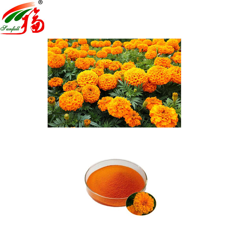 Factory Direct Sales Marigold Extract 5%~10%,90% Lutein by HPLC for beverages