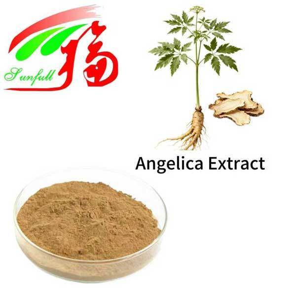 Angelica Extract  1% 1.5% Liguistlide 0.1% 0.3% Ferulic Acid Chinese Dong Quai Extract