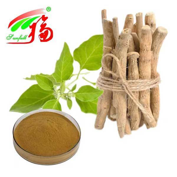 উইथानিয়া সোমনিফেরা দক্ষিণ আফ্রিকা উইথানোলাইডস ৫% অশ্বগন্ধা মূল নির্যাস খাদ্য স্বাস্থ্যসেবা পণ্য