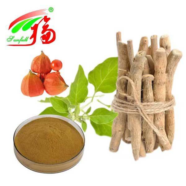 উইथानিয়া সোমনিফেরা দক্ষিণ আফ্রিকা উইথানোলাইডস ৫% অশ্বগন্ধা মূল নির্যাস খাদ্য স্বাস্থ্যসেবা পণ্য
