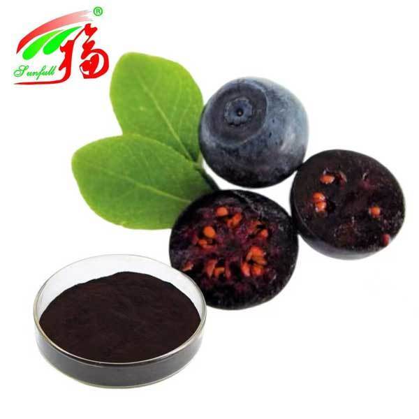 Bilberry Extract 10% 25% Anthocyanidins (UV-VIS) Antioxidant Vaccinium Myrtillus L. Bilberry for Vision Support Supplement