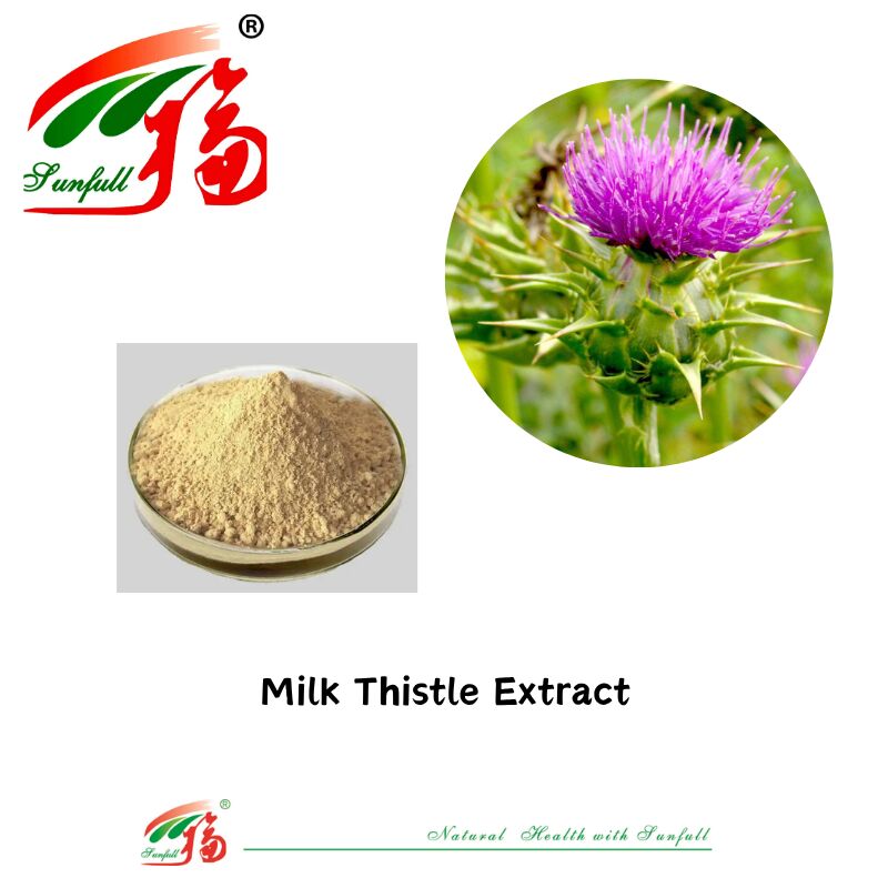 Herbal Silybum Marianum Plant Blessed Thistle Seed Powder 30% Silybins HPLC UV 40%~80% Liposome 40%-80% Silymarin Milk Thistle Extract for Liver Health (লিভার স্বাস্থ্যের জন্য সিলিমারিন মিল্ক থস্ট এক্সট্রাক্ট)