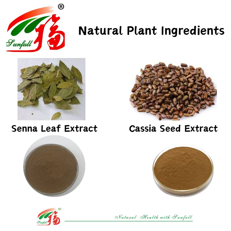 ISO/Kosher হজম খাদ্য গ্রেড ক্যাসিয়া বীজ নির্যাস প্রচার করে 10: 1 / 20% HPLC সেনোসাইডস সেনা পাতার নির্যাস