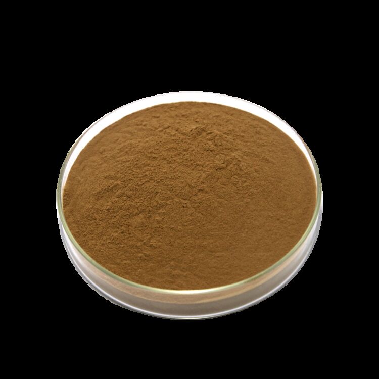 ISO/Kosher হজম খাদ্য গ্রেড ক্যাসিয়া বীজ নির্যাস প্রচার করে 10: 1 / 20% HPLC সেনোসাইডস সেনা পাতার নির্যাস