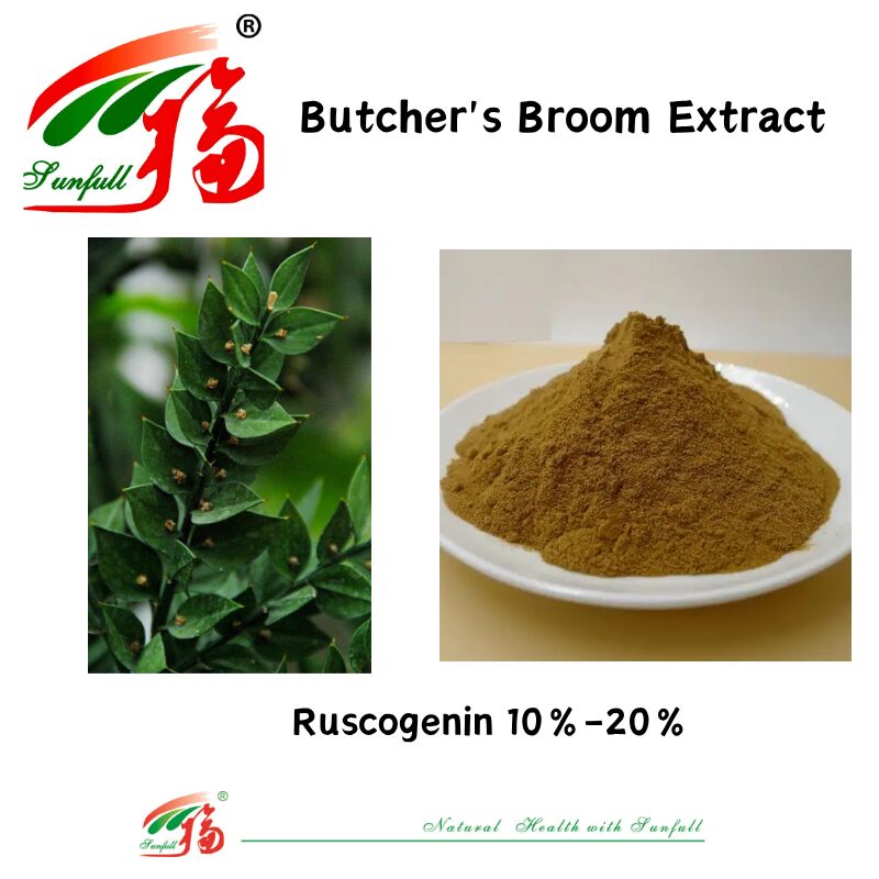উচ্চ মানের কারখানার দাম Ruscus Aculeatus রুট এক্সট্র্যাক্ট 10% -20% Ruscogenin Butcher's Broom Extract