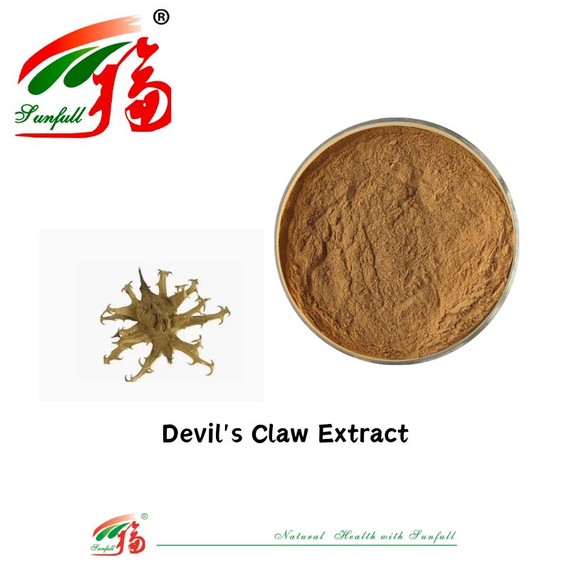 প্রাকৃতিক বিশুদ্ধ CAS 19210-12-9 Harpagophytum Procumbens পাউডার 5% Harpagoside Devils Claw Extract