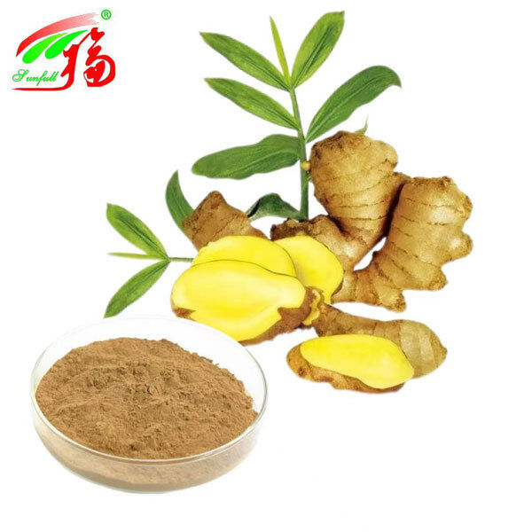 আদা রুট এক্সট্র্যাক্ট আদা রুট এক্সট্র্যাক্ট আদা 10% 5% 1% হজম সান্ত্বনা শ্বাস প্রশ্বাস এবং যৌথ গতিশীলতা সমর্থন