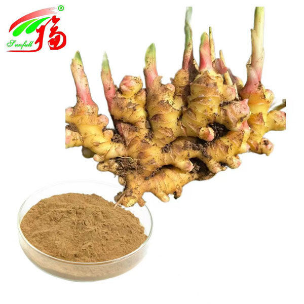 আদা রুট এক্সট্র্যাক্ট আদা রুট এক্সট্র্যাক্ট আদা 10% 5% 1% হজম সান্ত্বনা শ্বাস প্রশ্বাস এবং যৌথ গতিশীলতা সমর্থন