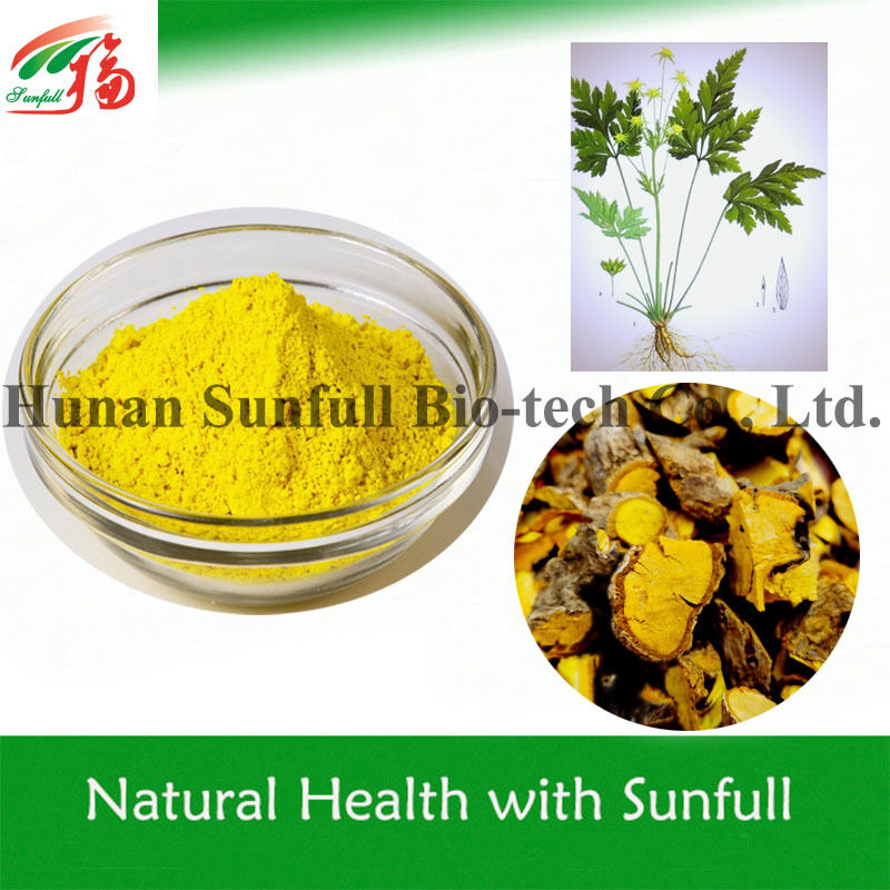 ১০০% প্রাকৃতিক বেরবেরিন এইচসিএল ৯৭% ৯৮% কপ্টিক চিনেঞ্জিস মূল থেকে সিএএস নং ৬৩৩-৬৫-৮ সহ