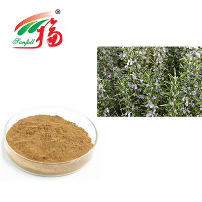 রোজমেরি এক্সট্র্যাক্ট 30% রোজমারিনিক অ্যাসিডের জন্য অ্যান্টি এজিং রোজমারিনাস অফিসিয়ালিস