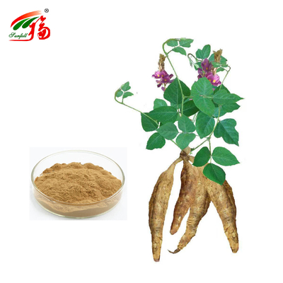 চীন কারখানা প্রাকৃতিক কুডজু রুট এক্সট্র্যাক্ট Puerarin সঙ্গে 25% 60% 98% জন্য বিকল্প