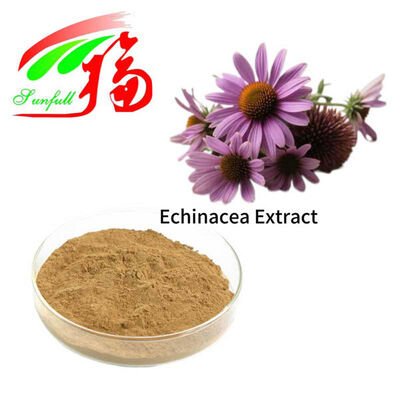 ইচিনেসিয়া নির্যাস ৪% পলিফেনল ১% ৪% সিচোরিক অ্যাসিড ইচিনাকোসাইড ইচিনেসিয়া পার্পিউরিয়া নির্যাস