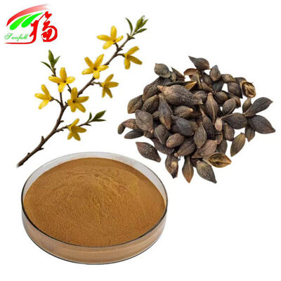 ফোর্সিথিয়া এক্সট্রাক্ট পাউডার ফিলিরিন ফোর্সিথিয়া সসপেনস এক্সট্রাক্ট