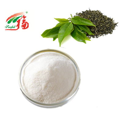 প্রসাধনীর জন্য কোশার গ্রিন টি এক্সট্র্যাক্ট পাউডার 98% EGCG Epigallocatechin Gallate